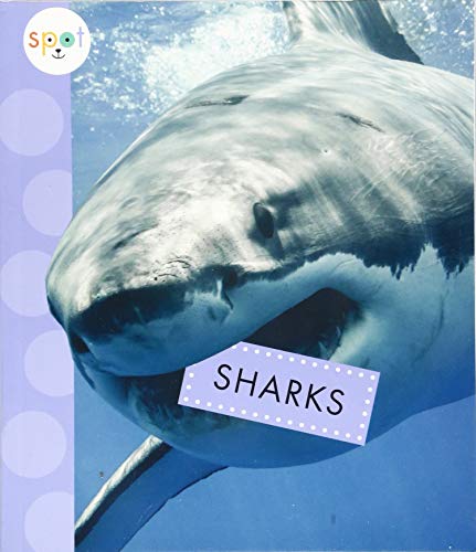 Cover of Sharks