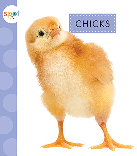 Cover of Chicks