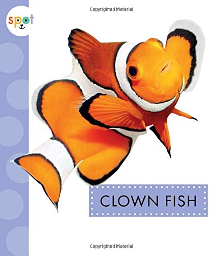 Cover of Clown Fish