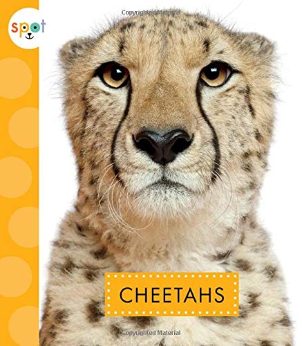 Cover of Cheetahs
