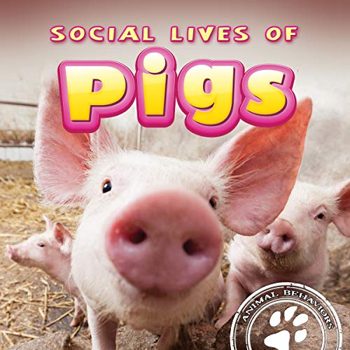 Cover of Social lives of pigs