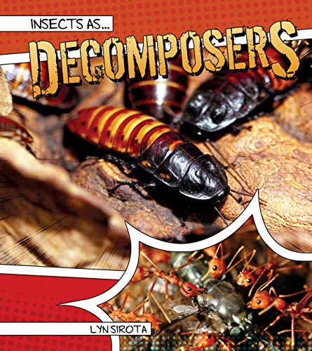 Cover of Insects As Decomposers