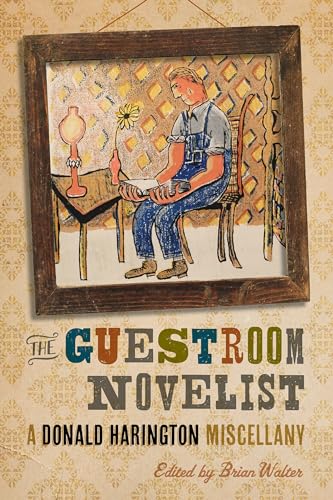 The Guestroom Novelist book cover