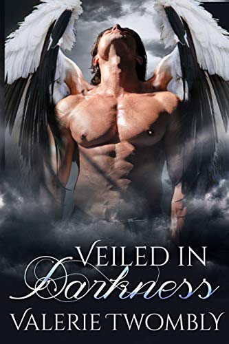 Veiled in Darkness book cover