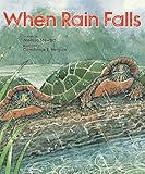 When Rain Falls