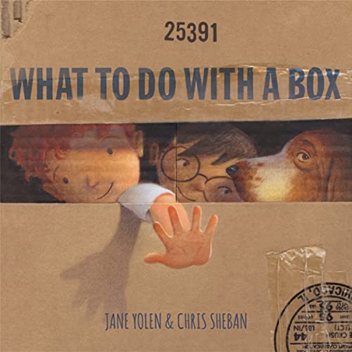 What To Do With A Box book cover
