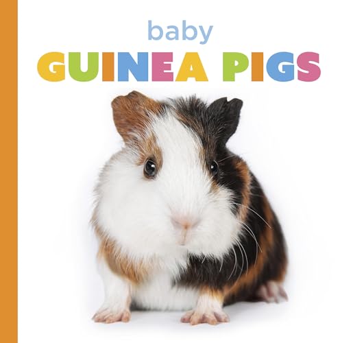 Baby Guinea Pigs / by Murray, Laura K