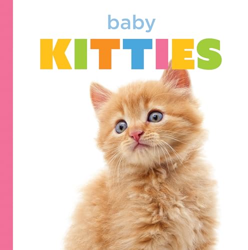 Baby Kitties / by Murray, Laura K