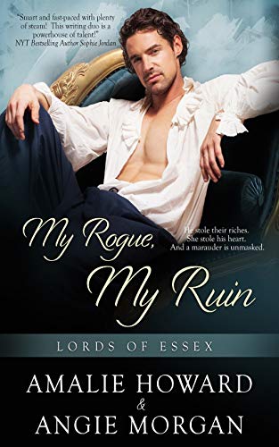 My Rogue, My Ruin book cover