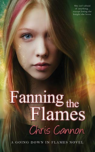 Fanning the Flames book cover