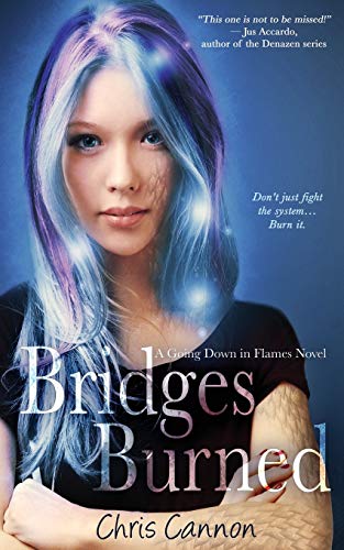 Bridges Burned book cover