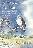 A Haven In The Sun Five Stories Of Bird Life And Its Future On The Texas Coast
