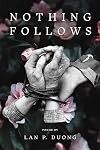 Nothing Follows (Diasporic Vietnamese Artists Network Series)