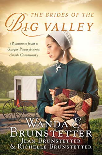The Brides of the Big Valley cover