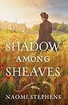 Shadow among Sheaves