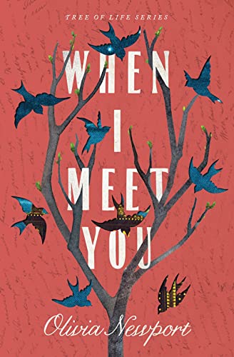 When I Meet You book cover