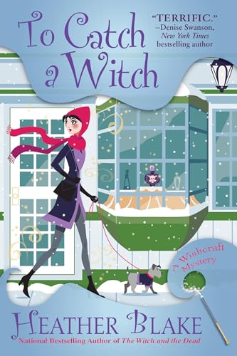 To Catch a Witch book cover