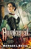 Awakened The Soul Chronicles