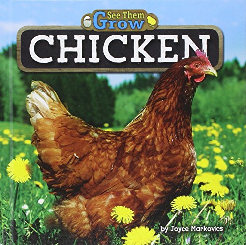 Cover of Chicken