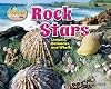 Rock stars : limpets, barnacles, and whelks
