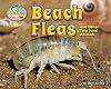 Beach Fleas and Other Tiny Sand Animals (Day at the Beach: Animal Life on the Shore)