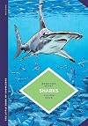 The Little Book of Knowledge: Sharks