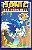 Sonic The Hedgehog Vol 1 Fallout