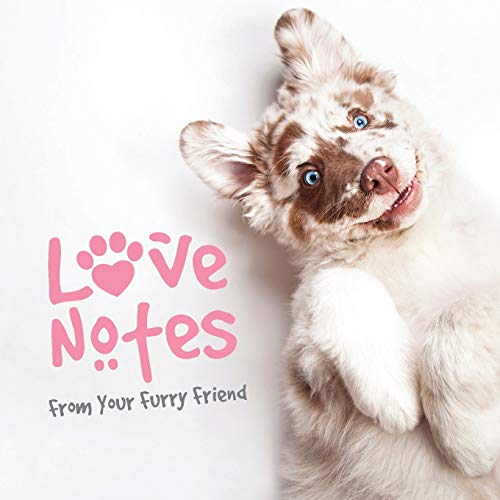 Cover of Love Notes