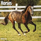 Horses Wall Calendar 2020