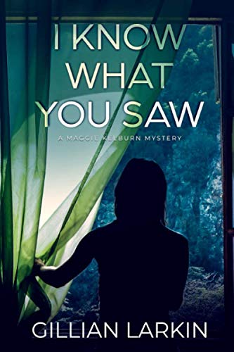 I Know What You Saw book cover