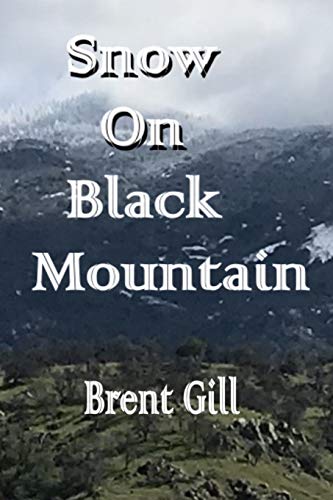 Snow book cover