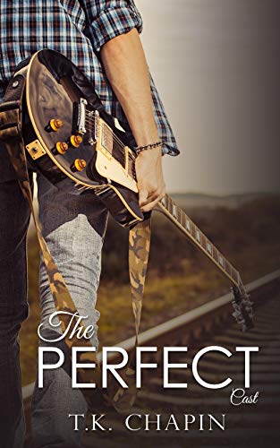 The Perfect Cast book cover