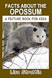 Facts About The Opossum