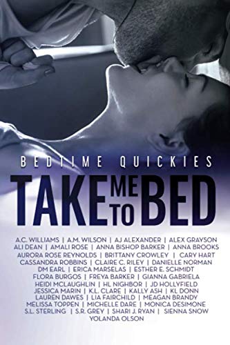 Take Me To Bed book cover