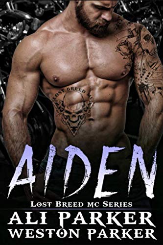Aiden book cover