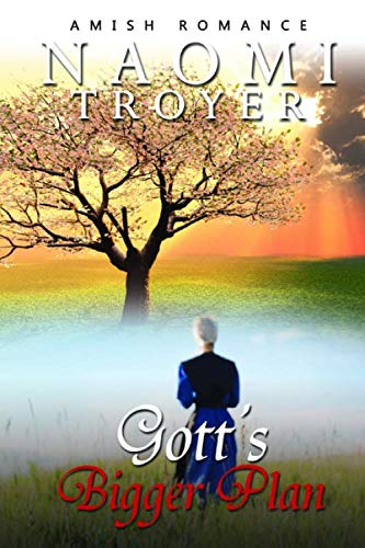 Gott's Bigger Plan book cover