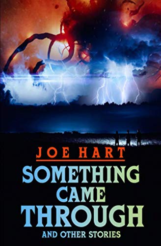 Something Came Through book cover