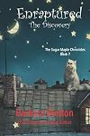 Enraptured: The Discovery