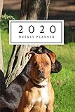 2020 Weekly Planner Staffie 2020 Weekly Staffie Planner Jan 1 2020 To Dec 31 2020 Weekly Organizer Diary