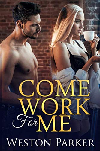 Come Work For Me book cover