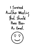 I Survived Another Meeting That Should Have Been An Email Stunning Funny Boss Gifts Ruled Paper Notebook Journal Cute Work Gifts For Coworker Kids Teens For Writing Notes Boss Day Idea