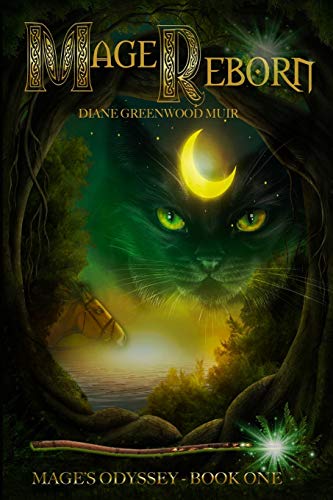 Mage Reborn book cover