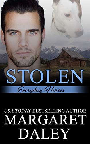 Stolen book cover