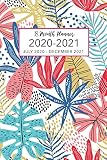 18 Month Planner July 2020december 2021 20202021 Two Year Daily Weekly Monthly Calendar Planner Pocket Agenda Schedule Organizer Logbook For Todo Planner Organizer Agenda And Calendar