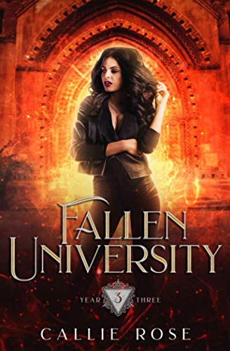Fallen University: Year Three book cover