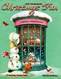 Adult Coloring Books Christmas Fun 2 With 75 Grayscale Coloring Pages Beautiful Grayscale Images Of Winter Christmas Holiday Scenes Santa Reindeer Decorations Christmas Tree Lights And More