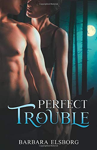 Perfect Trouble book cover