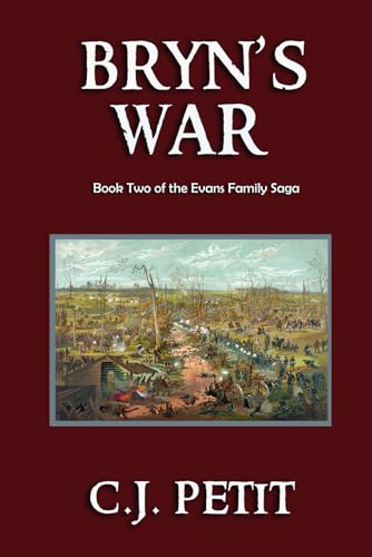 Bryn's War cover