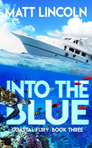 Into the Blue book cover