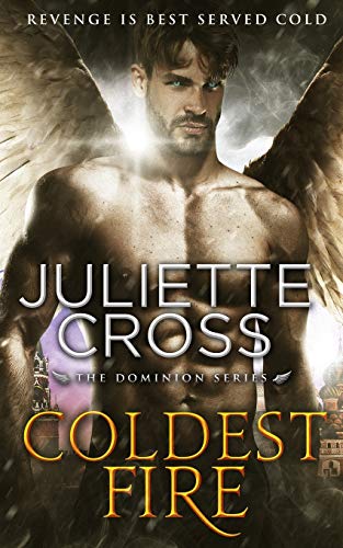 Coldest Fire book cover